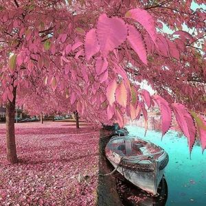 Meet your Posher, Bertys